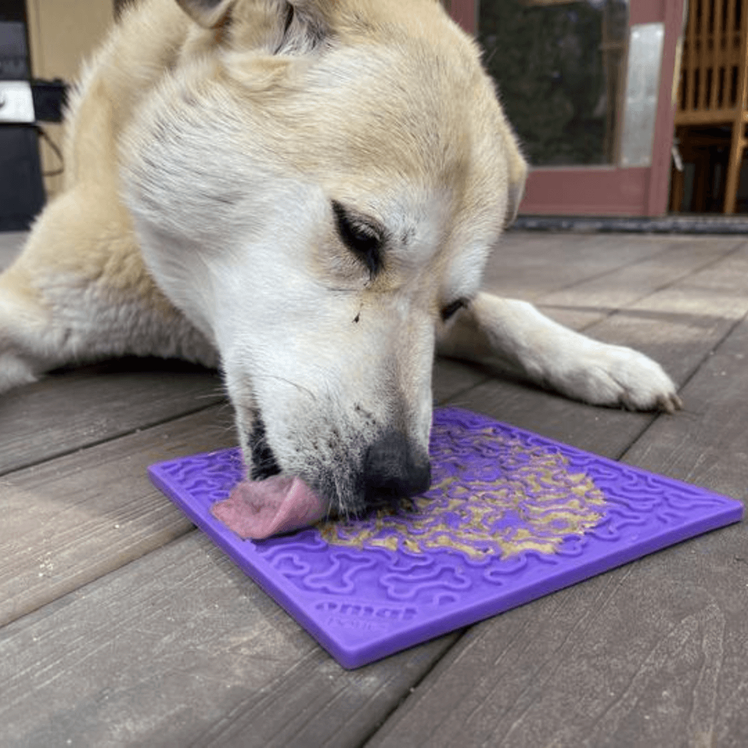 tapis-de-lechage-chien-os-doggyplace