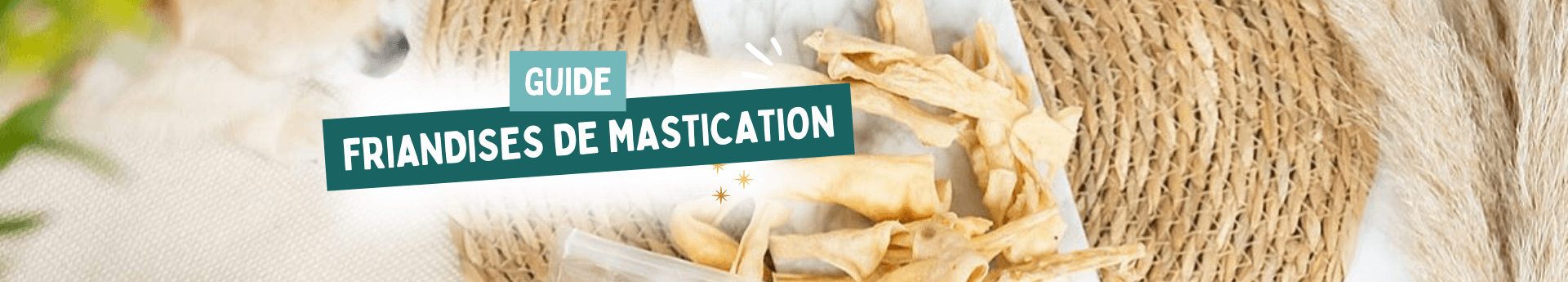 guide friandises mastication doggyplace