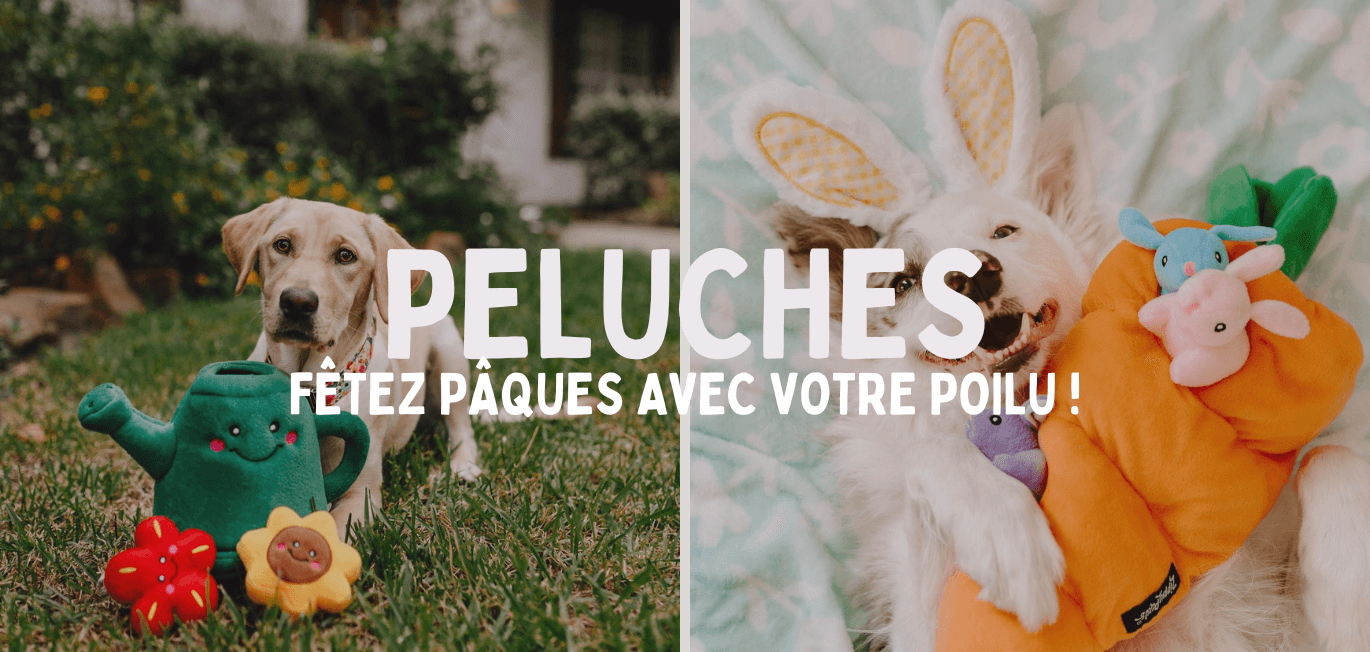 jouets paques chien doggyplace