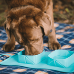 rollabowl-plateau-de-voyage-pliable-silicone-pour-chien-et-chat-doggyplace