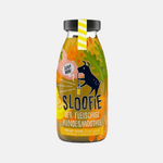 smoothie-pour-chien-dinde-sloofie-doggyplace