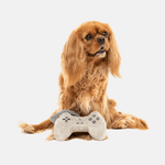 jouet-pour-chien-gamer-doggyplace