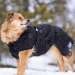 manteau-en-laine-merinos-chien-canelana-ambassador