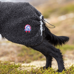 manteau-merinos-pour-chien-canelana-ambassador