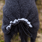 manteau-laine-merinos-chien-canelana-ambassador