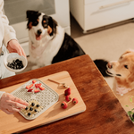 tapis-de-lechage-recette-peachy-dogs-doggyplace