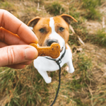 biscuits-artisanaux-belges-chiens-doggyplace