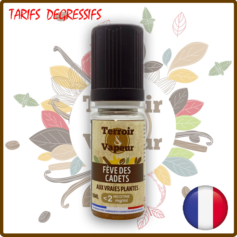 e-liquides pour saveurs intenses E-liquides Enfer : la vape la plus fraîche au monde main image 1