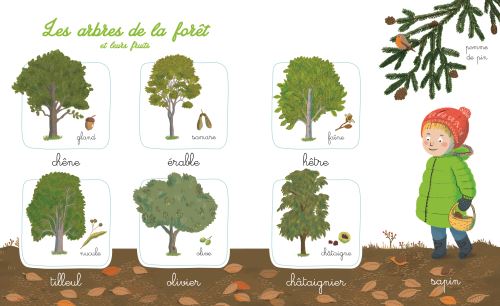 Mon-imagier-de-la-nature-Montessori 2