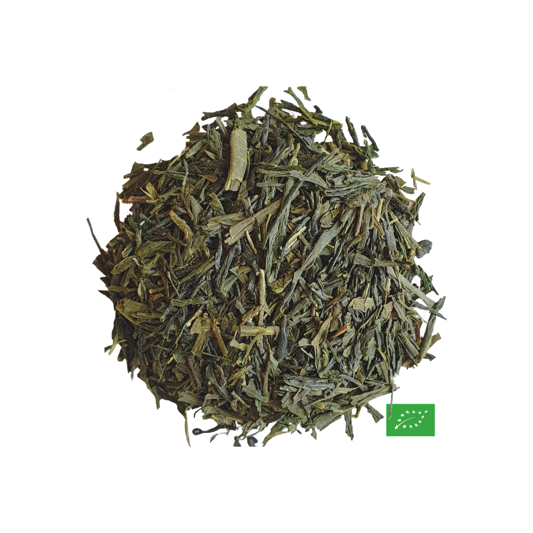 SENCHA_VRAC