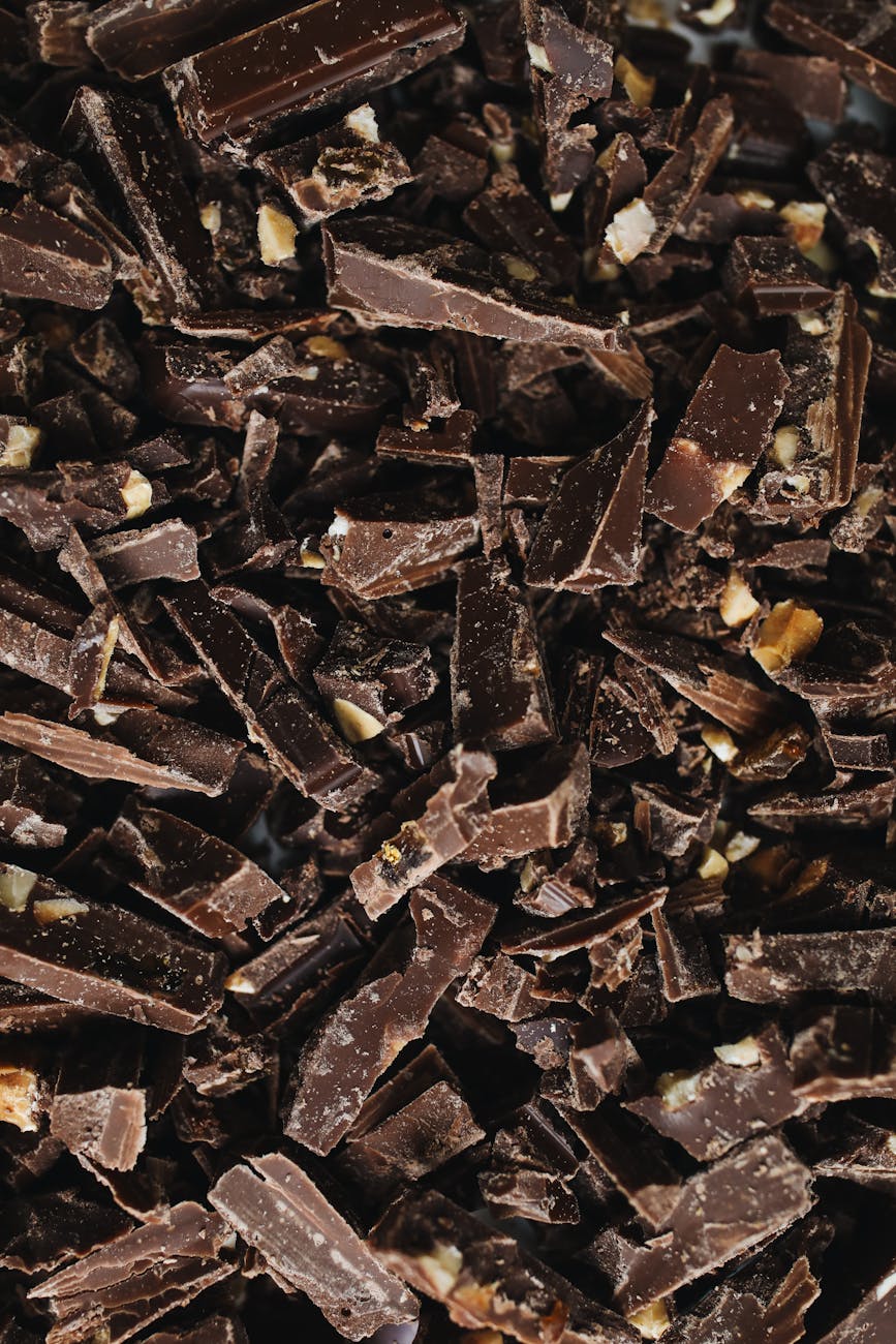 photos gratuites de bon bon vivant bonbons