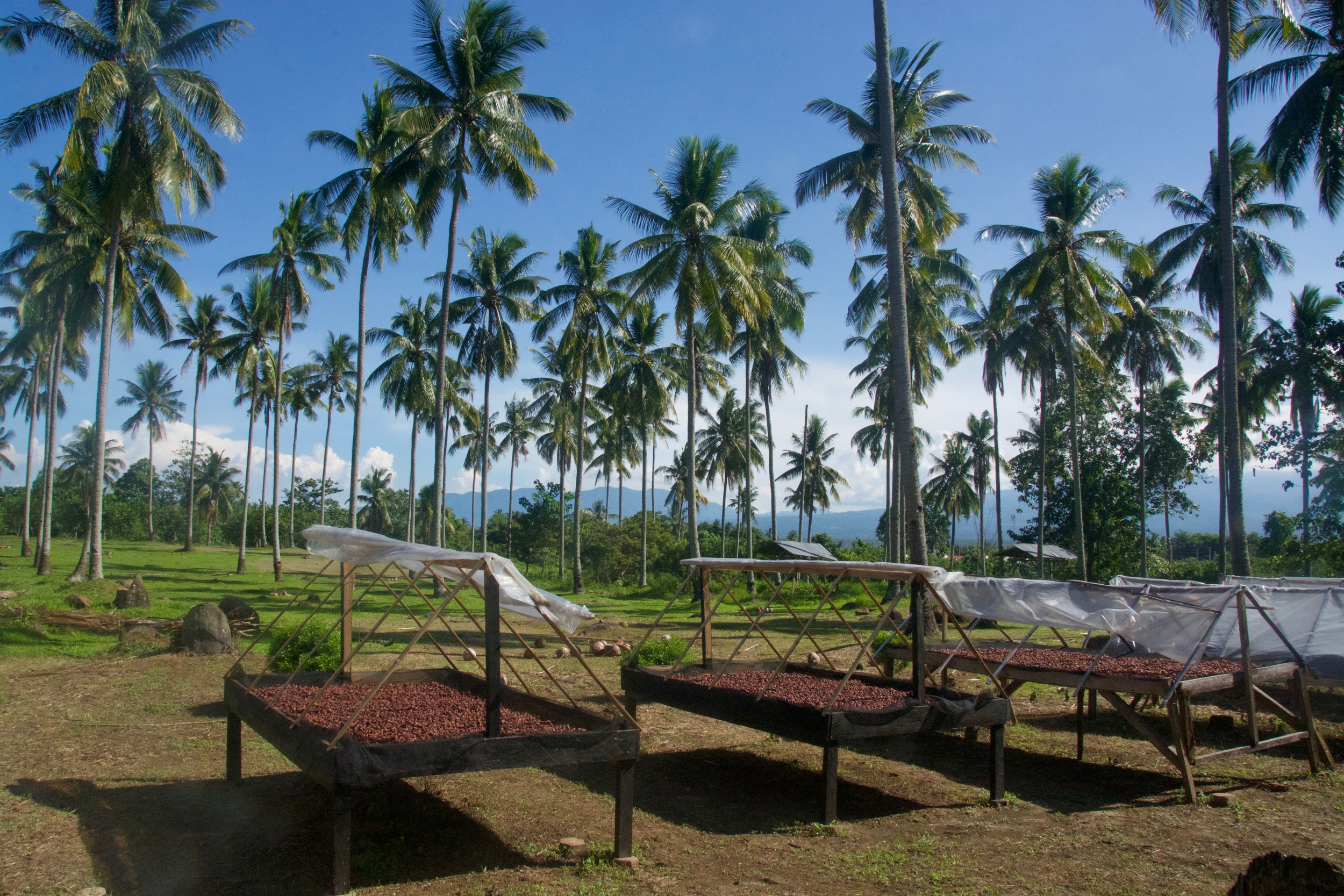 philippines mana delafeveaupalais3 c silva cacao