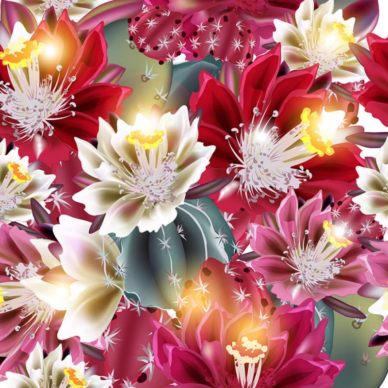 PSC cactus-flowers-1
