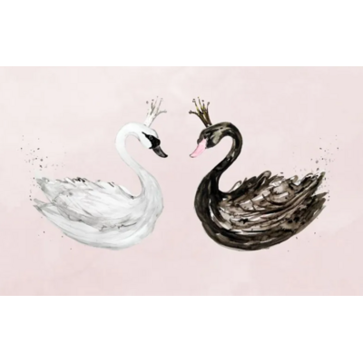 swan