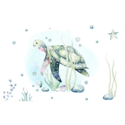 tortue