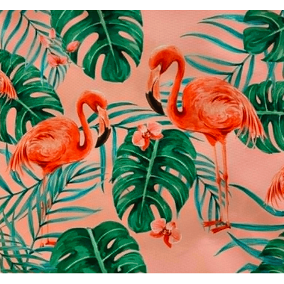 flamant rose v2
