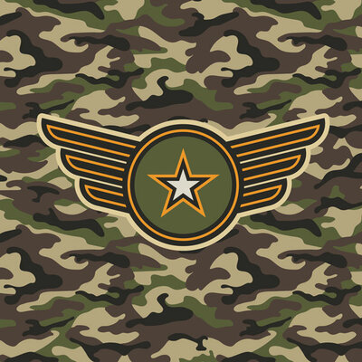 ppi 2020 militaire