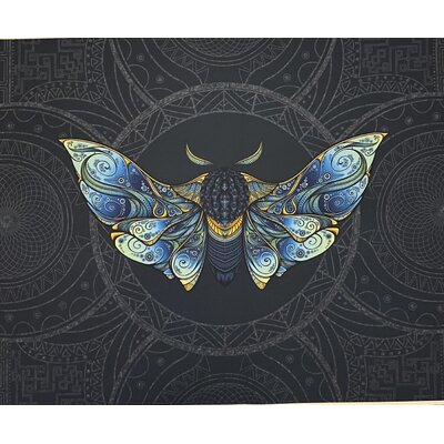 ppi 5040 papillon bleu ciel sur fond bleu et noir