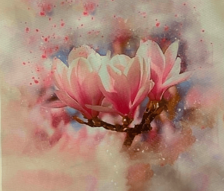 fleurs rose
