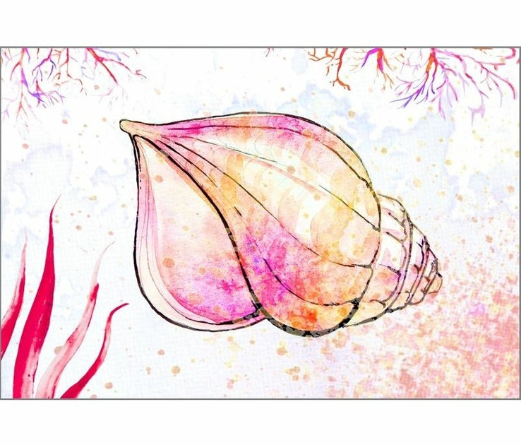 pc 3020 coquillage