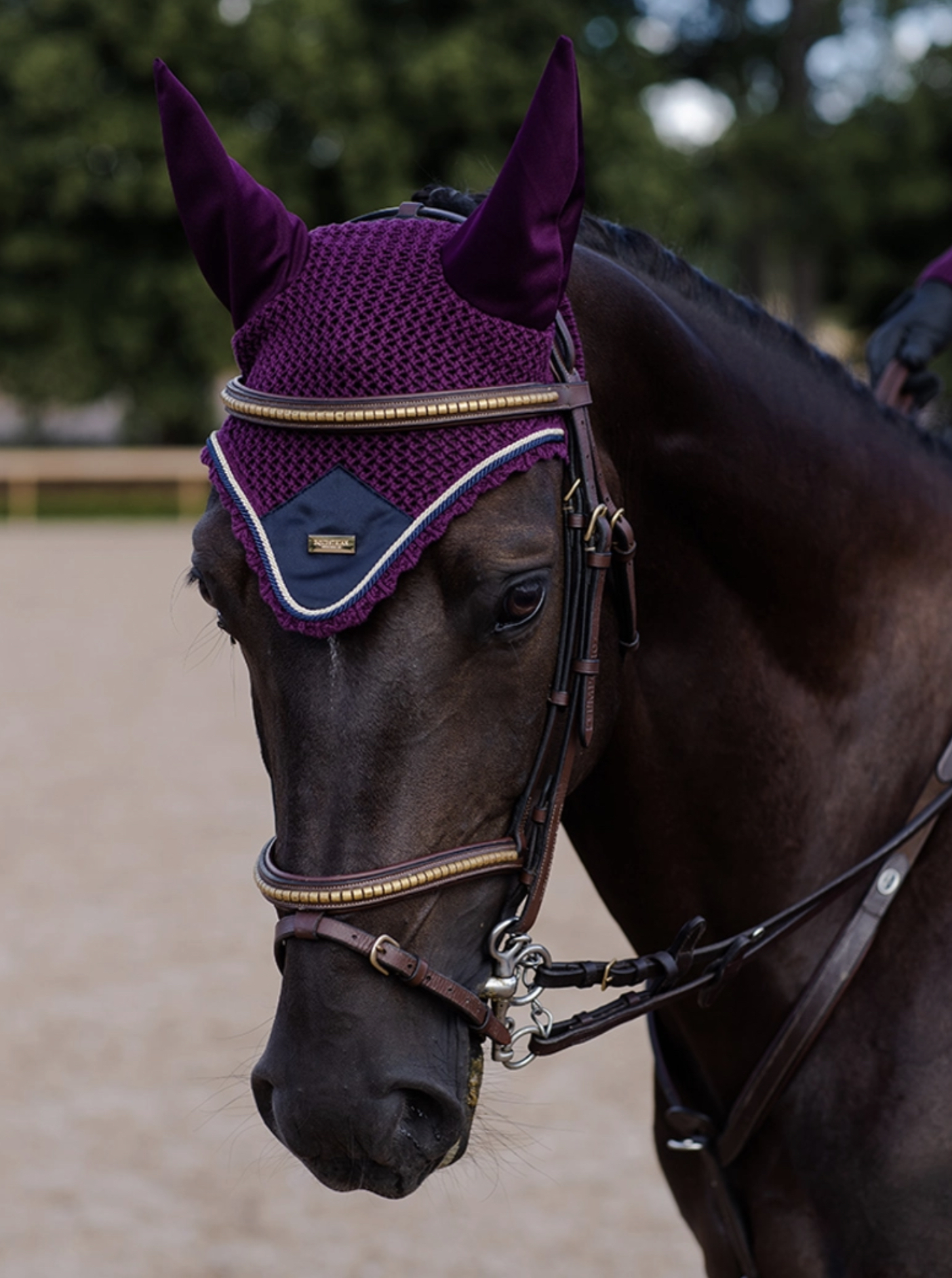 Bonnet - PURPLE GOLD - Equestrian Stockholm