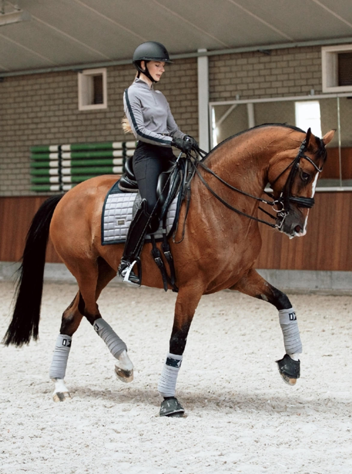 Tapis de dressage - SPORTIVE BLUE ASH - Equestrian Stockholm