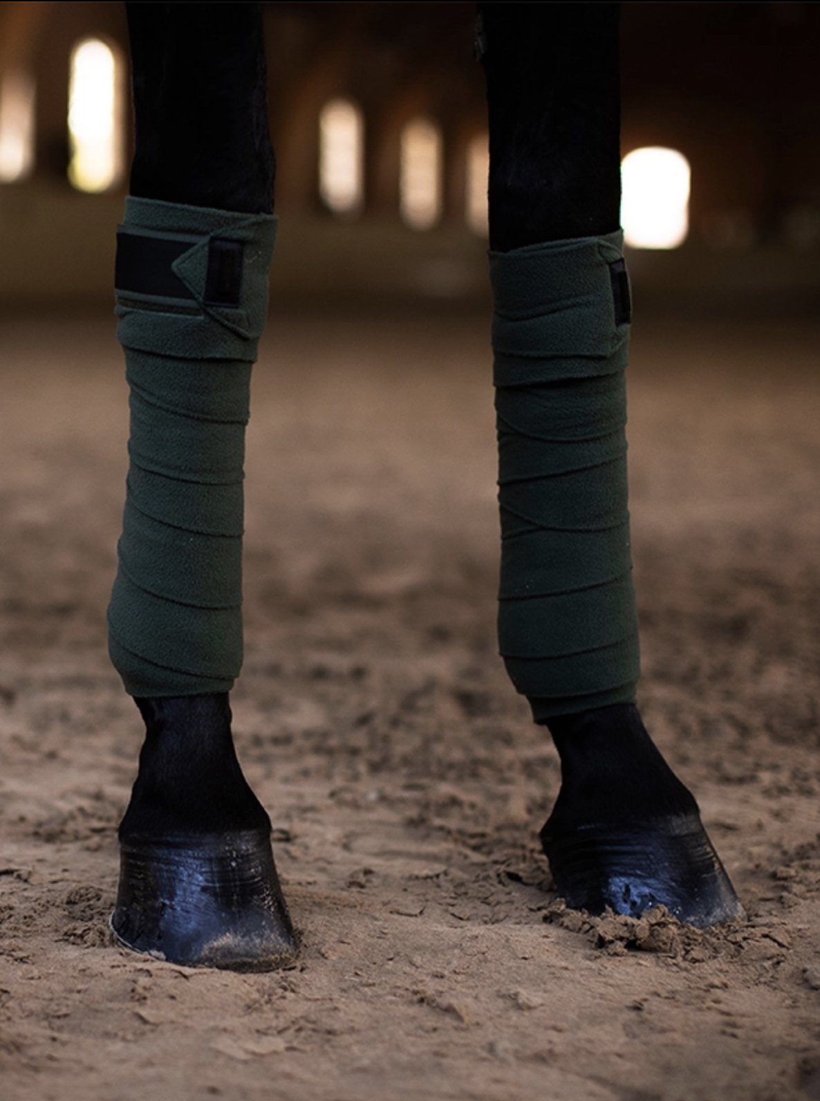 Bandes – SYCAMORE GREEN - Equestrian Stockholm