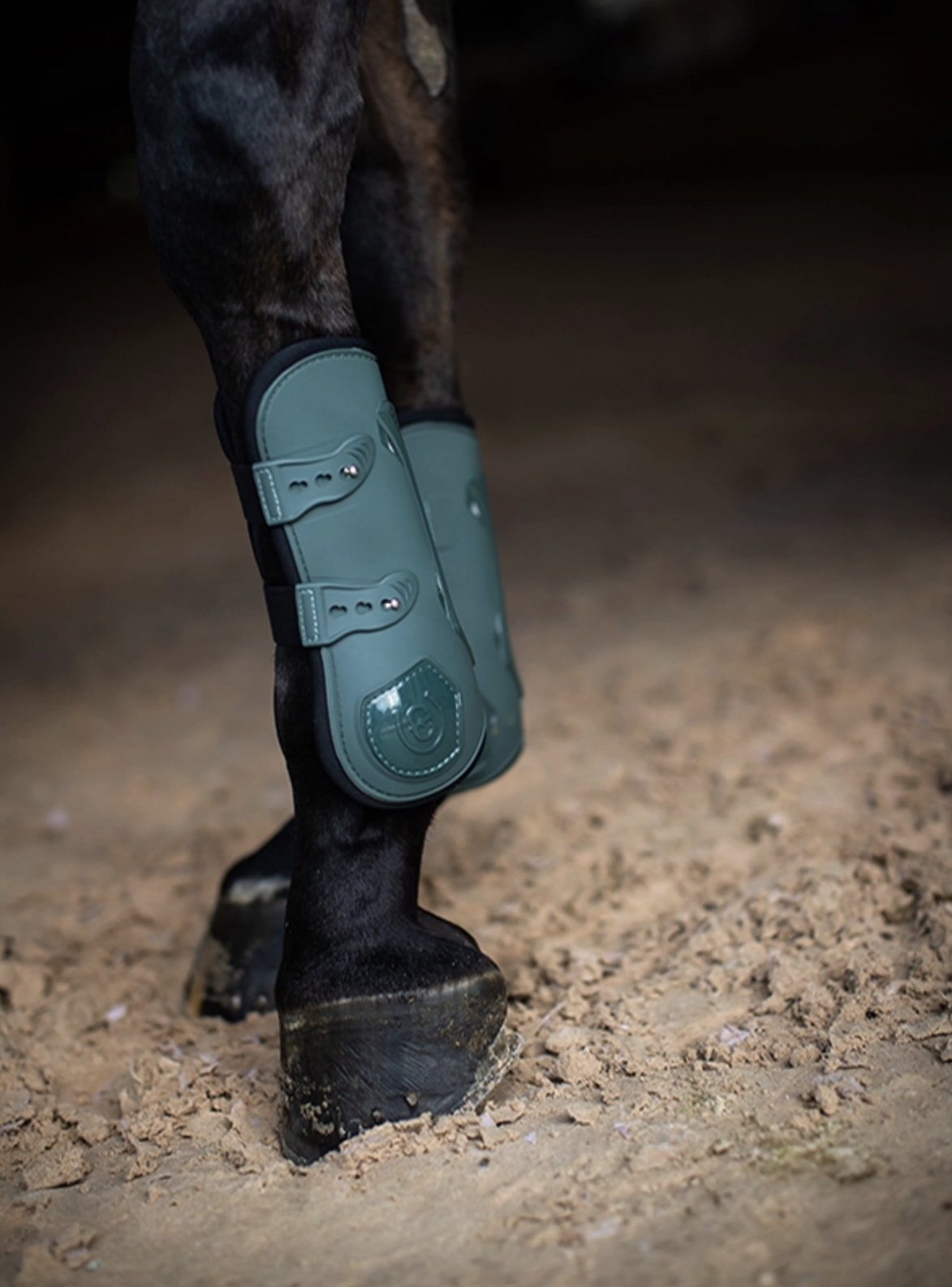 Guêtres anatomiques pour antérieurs – SYCAMORE GREEN - Equestrian Stockholm