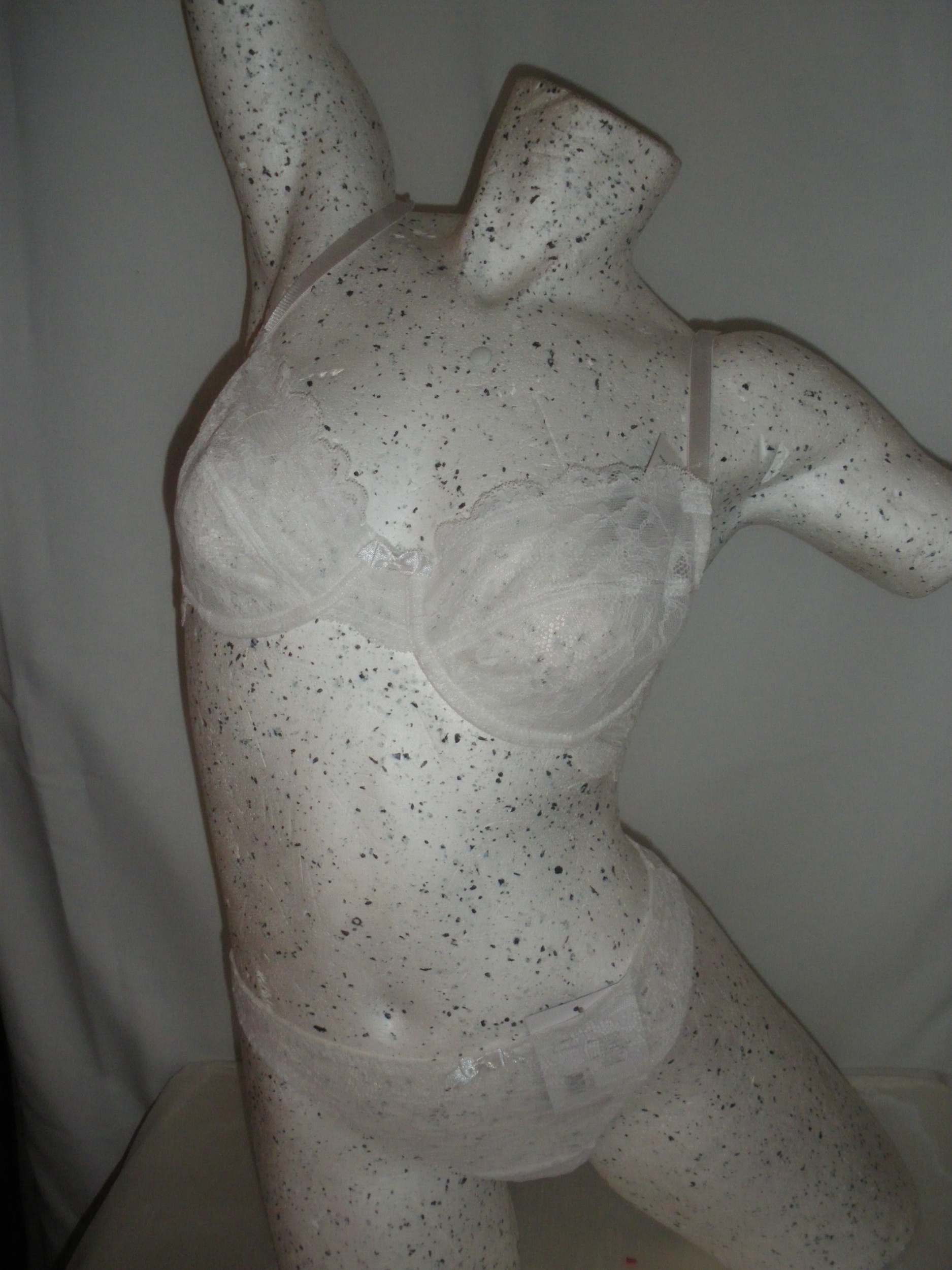 IMGP0219