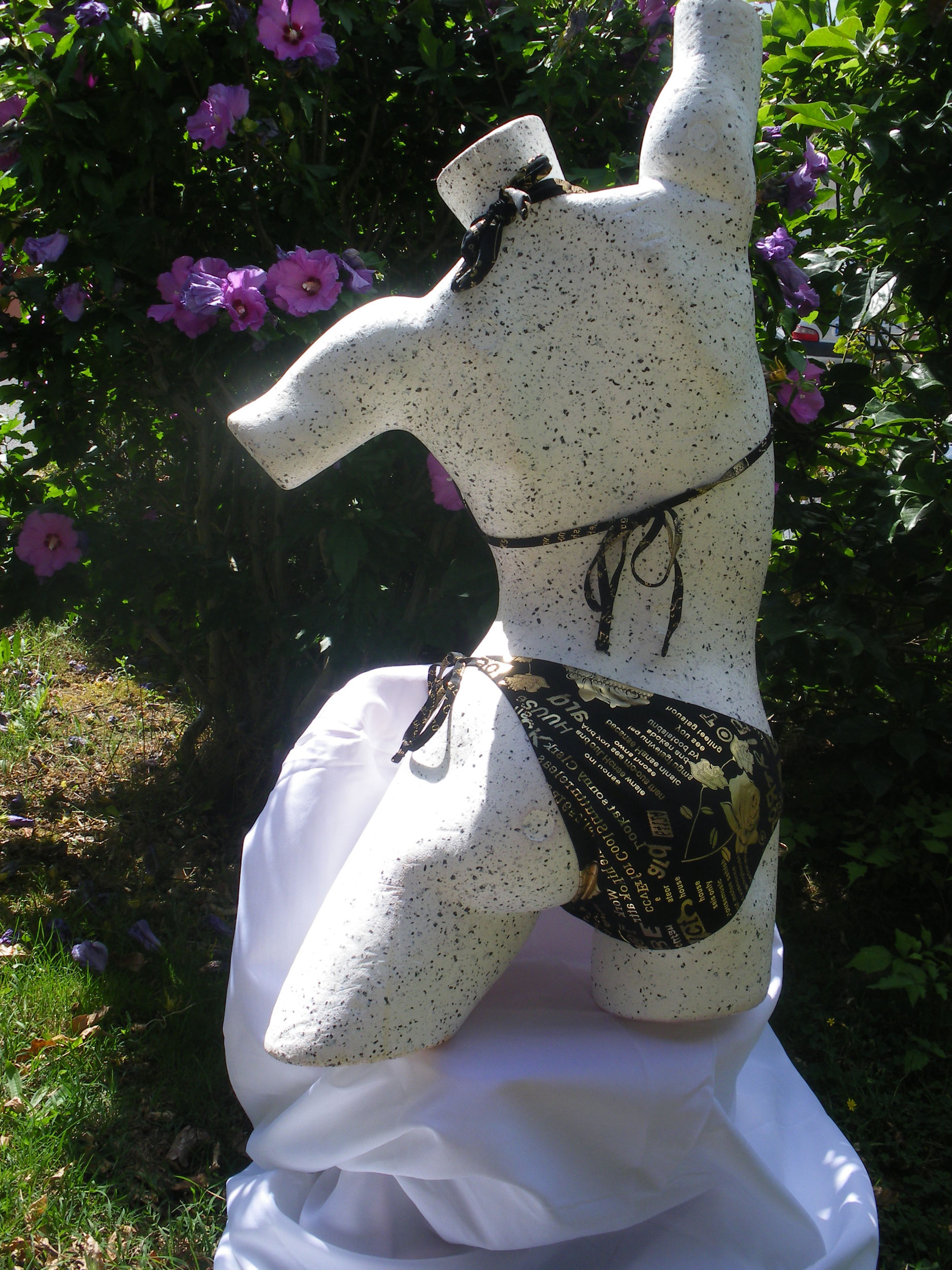 maillot de bain photo 14 juillet 2014 002