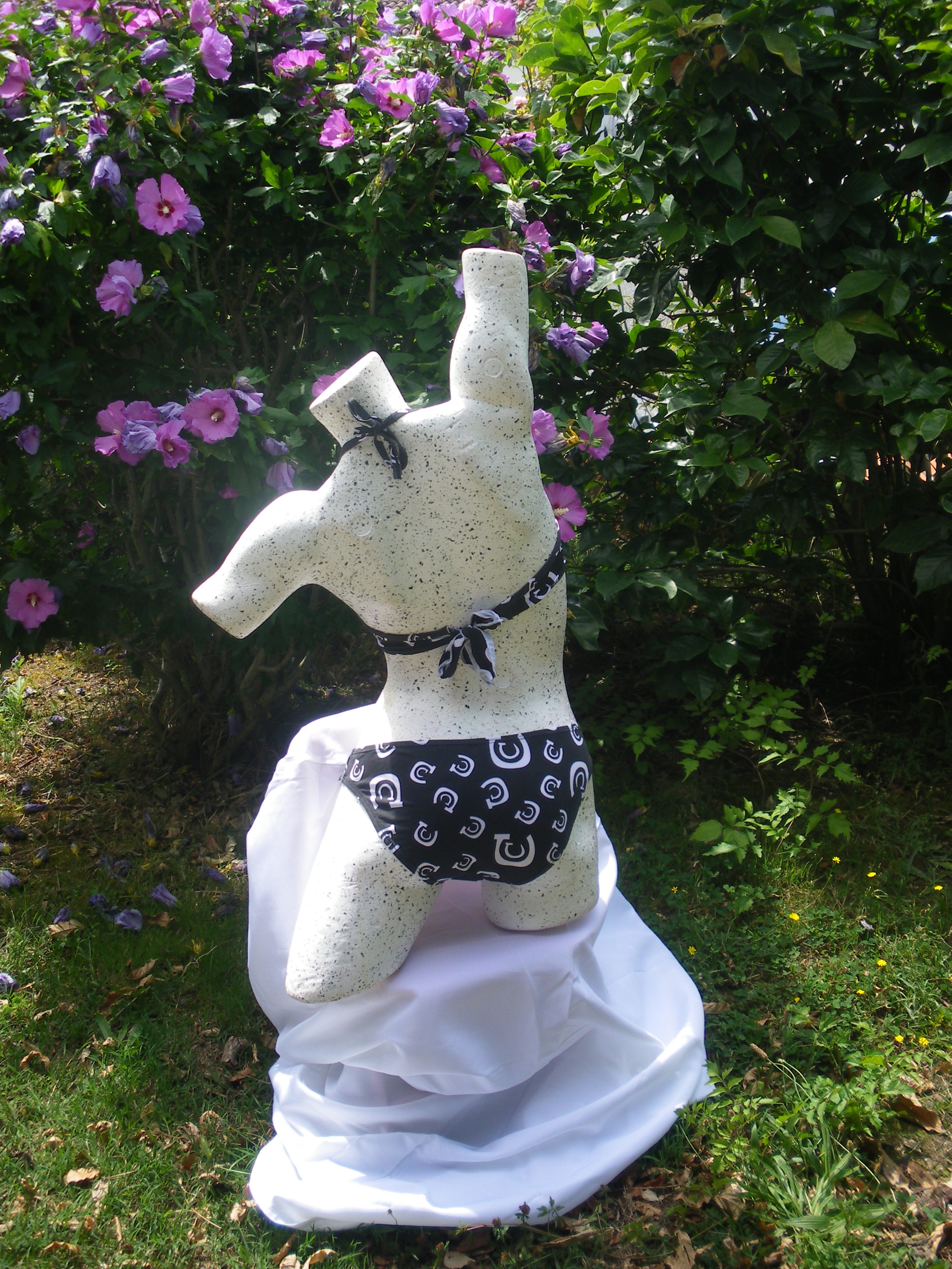 maillot de bain photo 14 juillet 2014 014