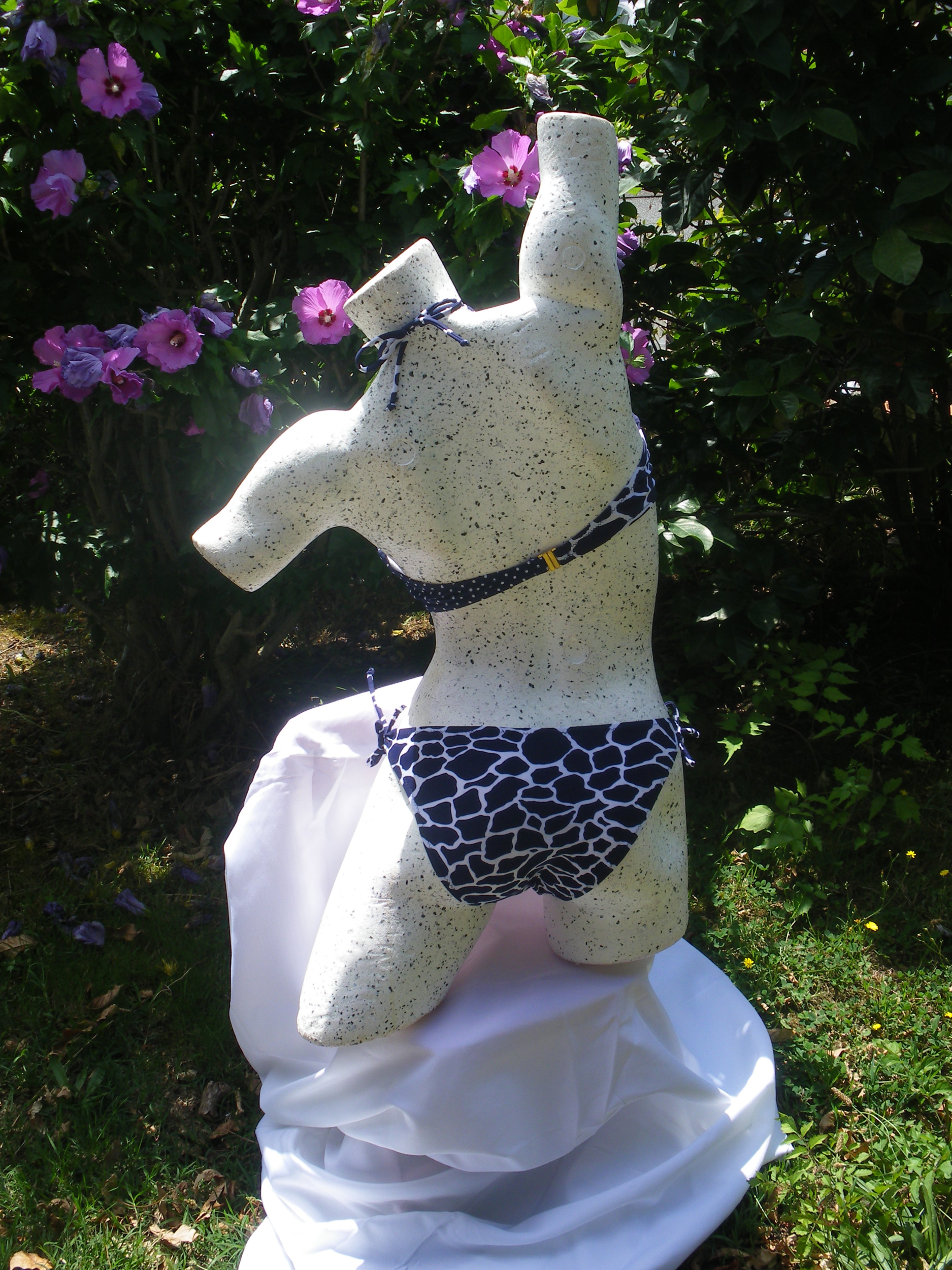 maillot de bain photo 14 juillet 2014 021