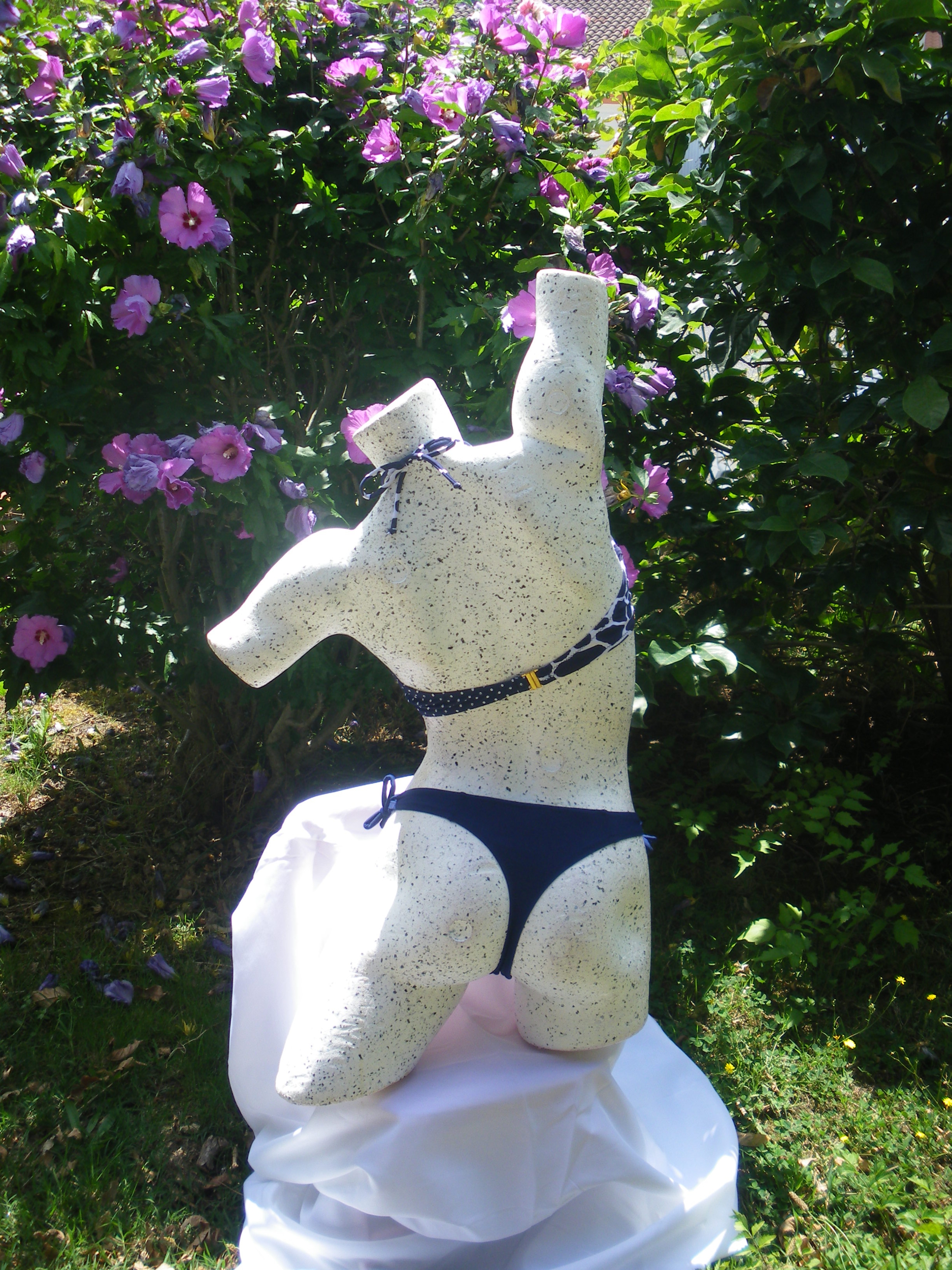 maillot de bain photo 14 juillet 2014 023