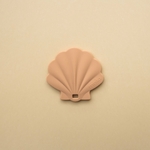 Coquillage de dentition natural