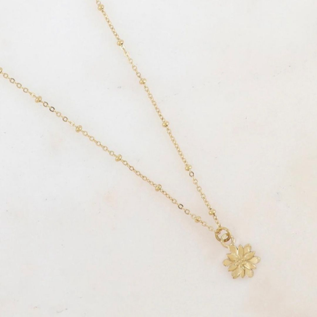 COLLIER LOU