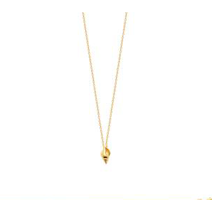 COLLIER INDIAN