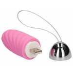 1105048000000-oeuf-rechargeable-ethan-rose-2