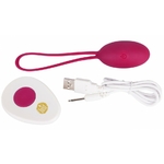 1100488000000-oeuf-rechargeable-telecommande-lust-framboise-2