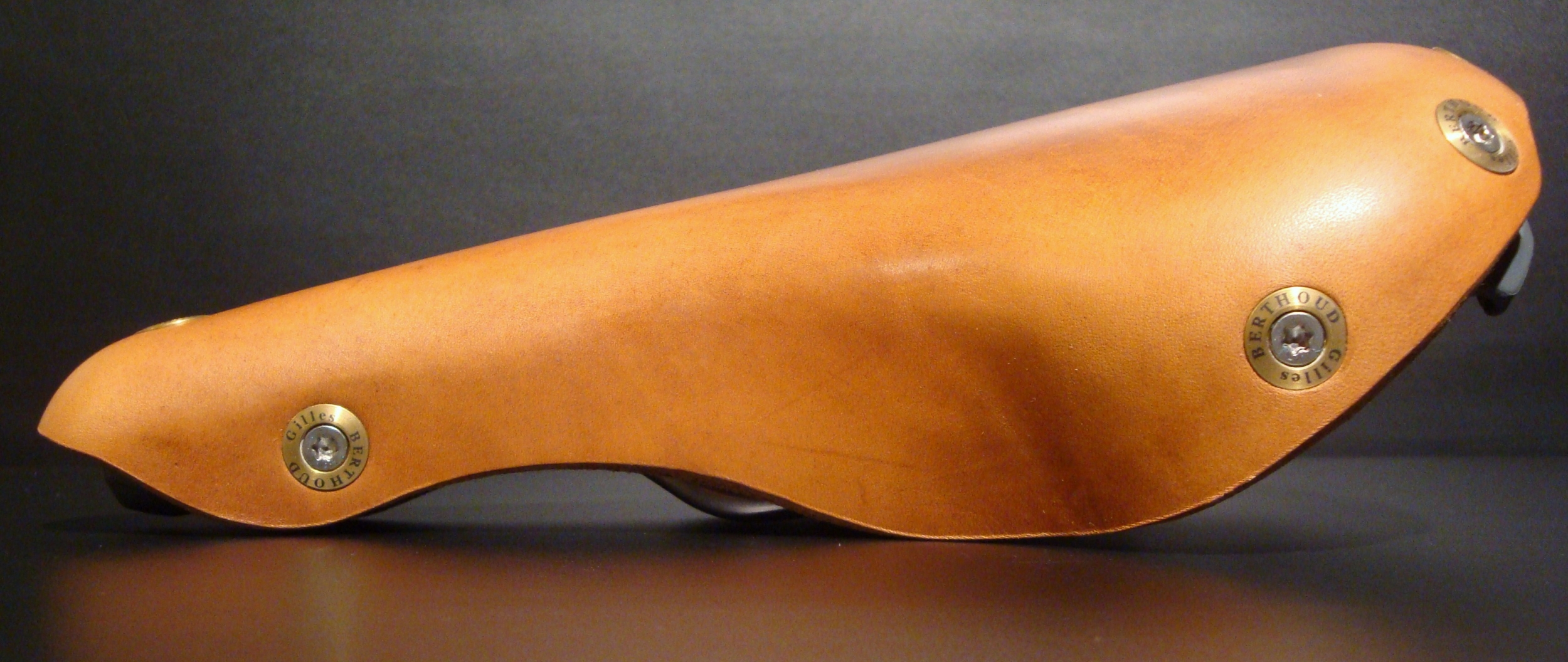 Gilles Berthoud Marie Blanque Natural saddle 5