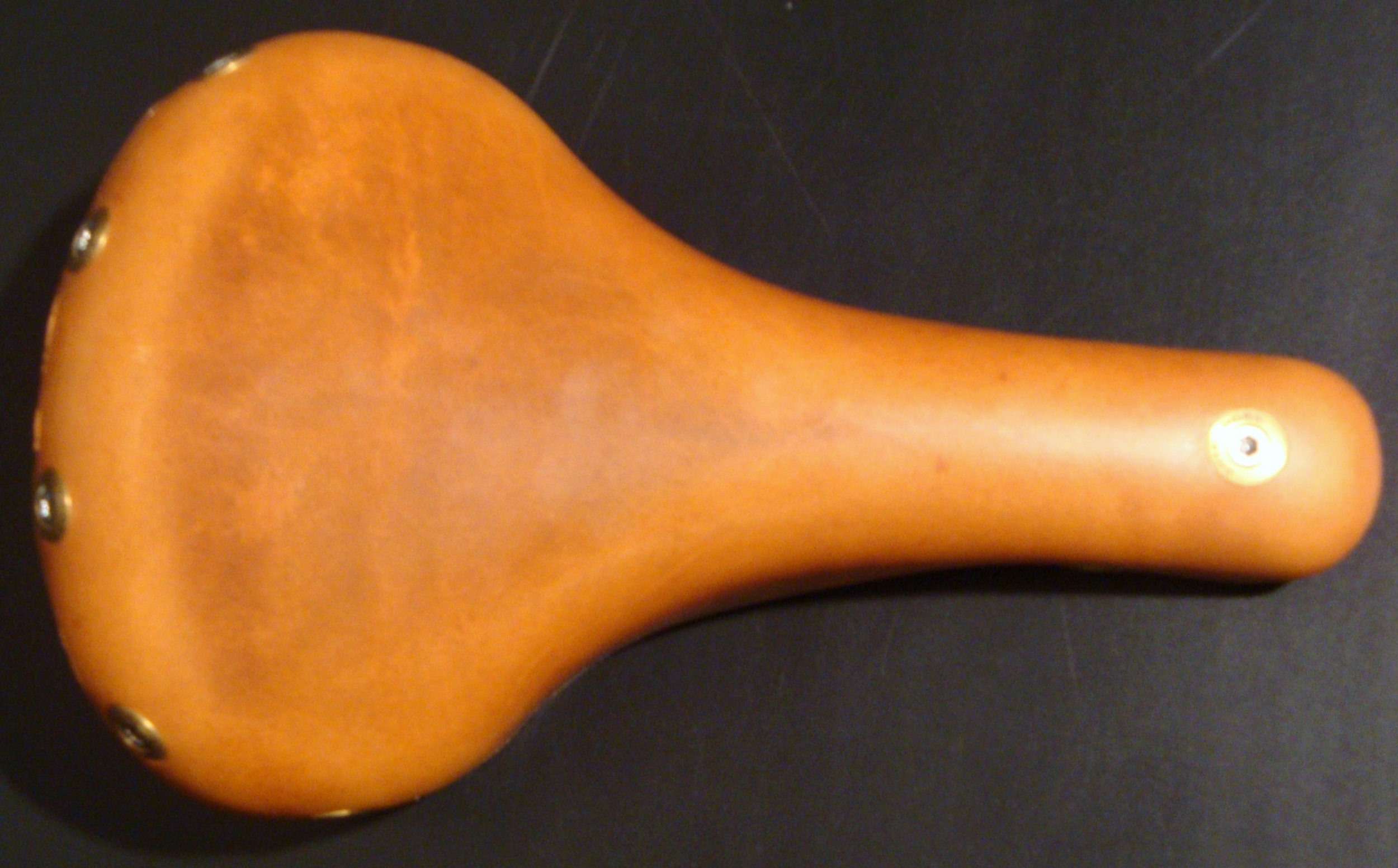 Gilles Berthoud Marie Blanque Natural saddle 6