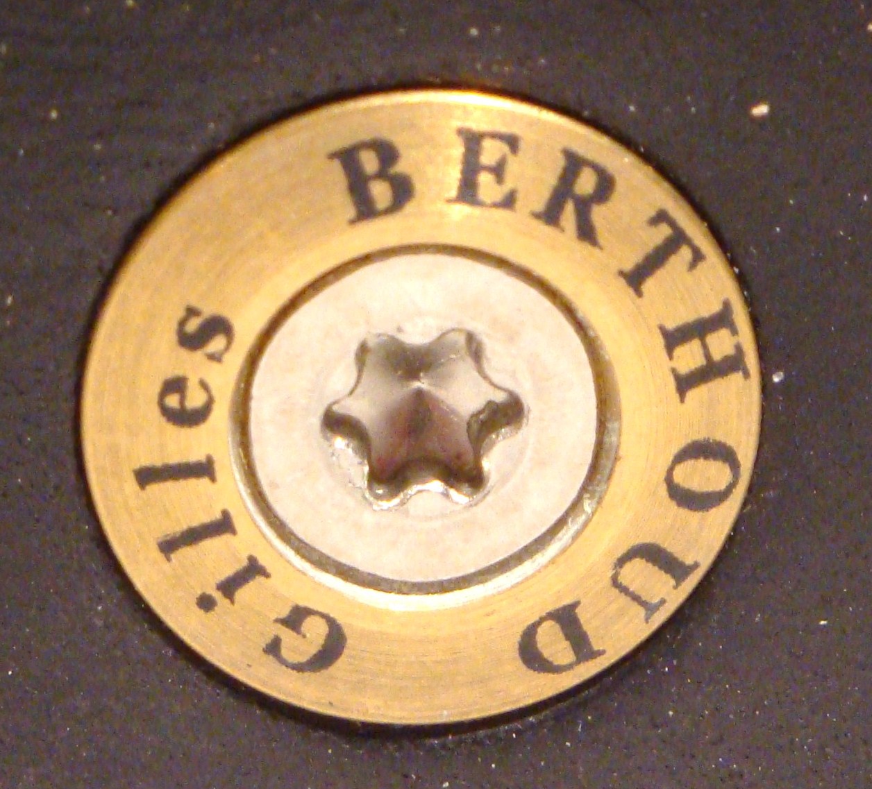 Gilles Berthoud Soulor Black saddle 10