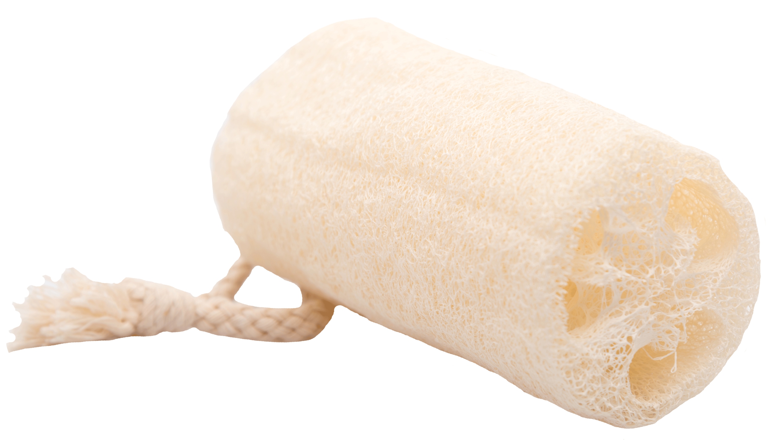 Loofah