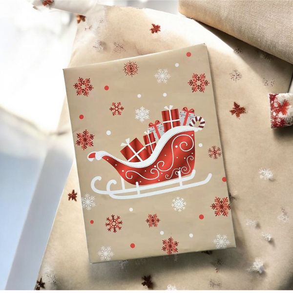 pochette-traineau-pour-bracelet-d-amitie-adulte