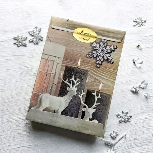 pochette-cadeau-insolite-noel