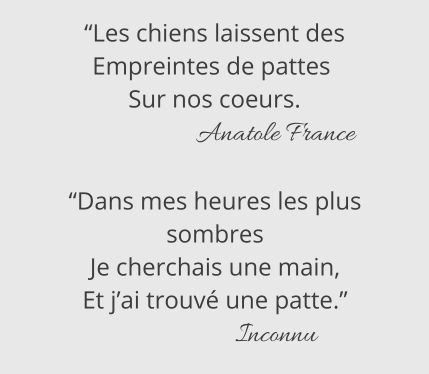 citations sur les chiens