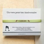 bijou-signe-du-zodiaque-cancer