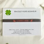 cadeau-avec-signe-astrologique-bracelet-personnalise-capricorne