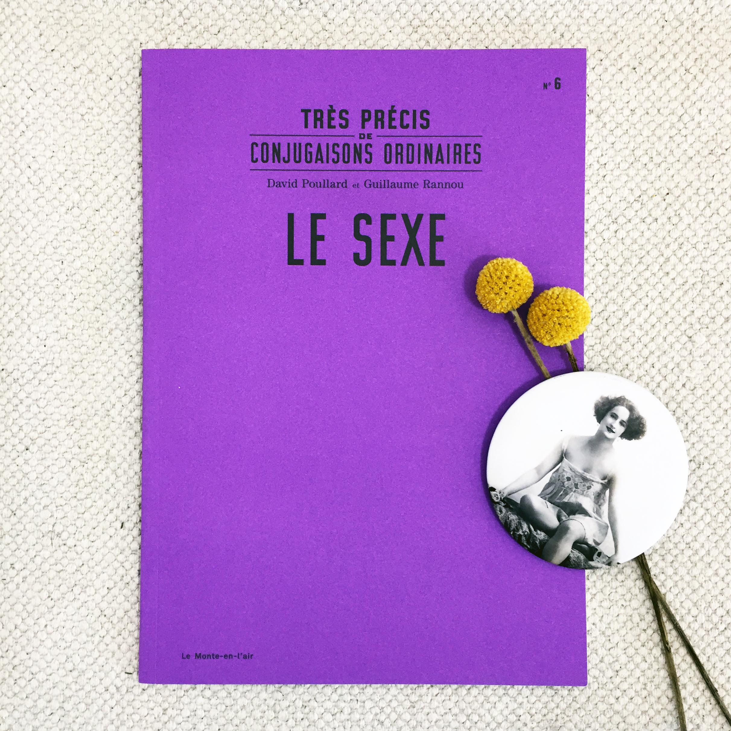 Très précis de conjugaisons ordinaires : Le sexe, de David Poullard et Guillaume Rannou
