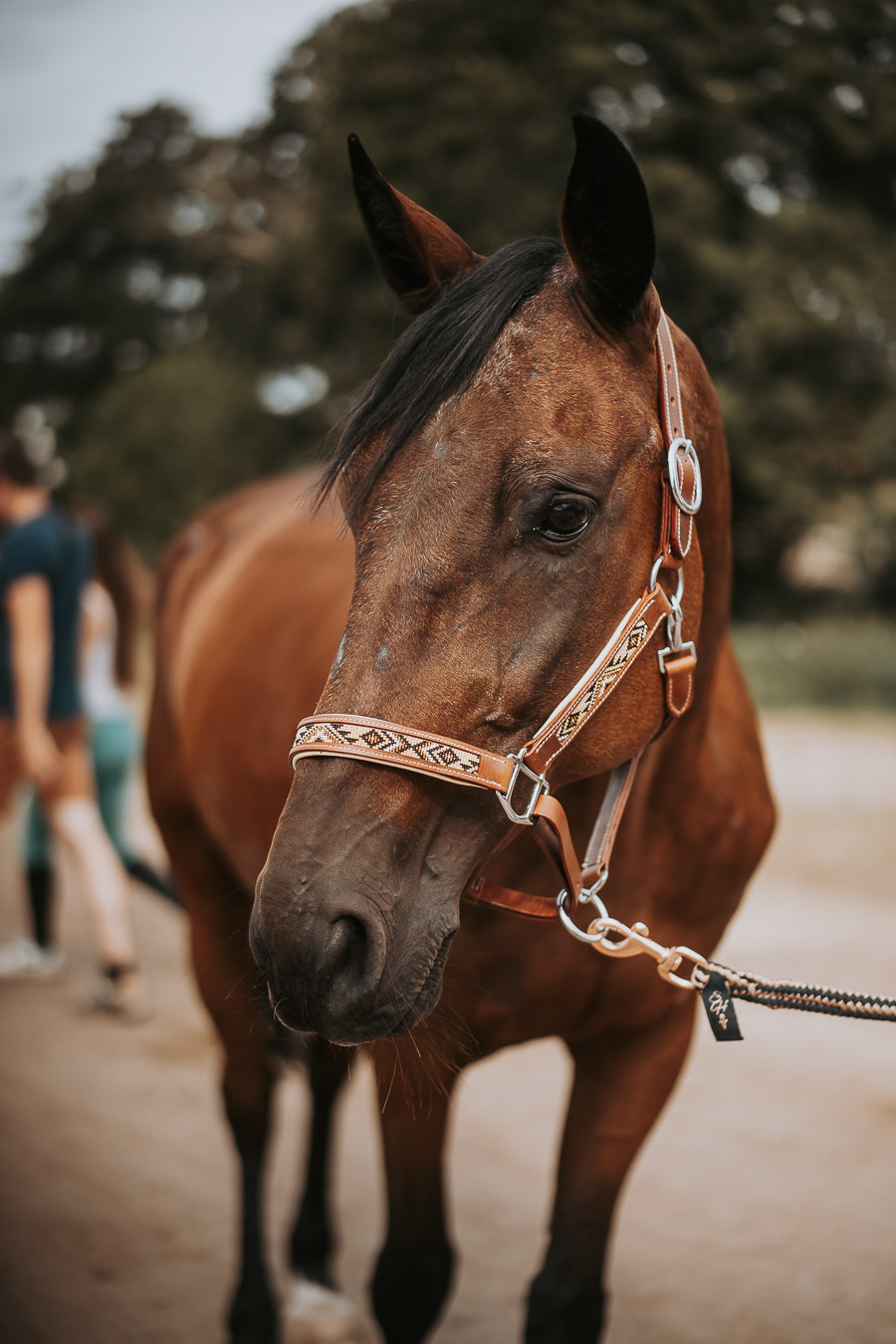 Médaille personnalisée bois carrée cheval S | Petite Balzane