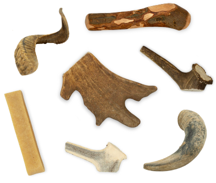 mastications